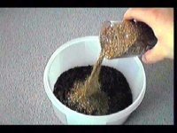 step_060.jpg step_060.jpg