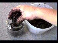 step_065.jpg step_065.jpg