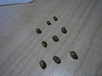 DSC00704.JPG