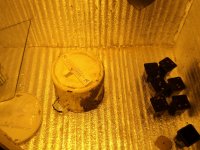 DSC00664.JPG
