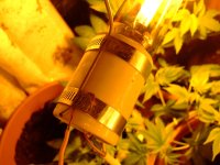 DSCF5676.jpg
