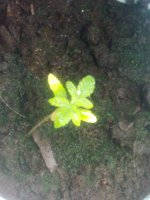 19032011377.jpg