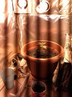 IMAG0257.jpg