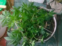 05052011636.jpg