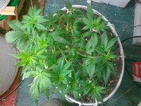 05052011635.jpg