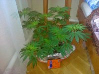 12052011641.jpg