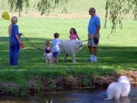 bad-parenting-)))).jpg