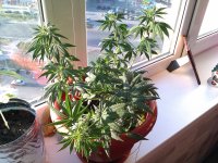 IMAG0458.jpg