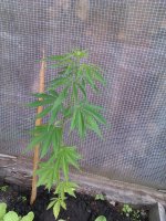 IMAG0553.jpg