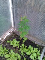 IMAG0560.jpg