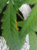 05062011099.jpg