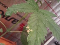 2011-09-28 19.07.534.jpg