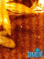 2014-06-02 23.27.21.jpg