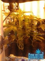 2014-06-06 21.16.04.jpg