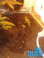 2014-06-06 21.16.15.jpg