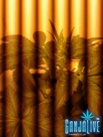 2014-06-07 23.29.17.jpg