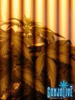 2014-06-07 23.30.47.jpg