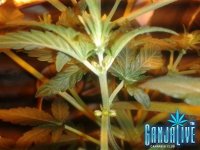 2014-06-07 23.33.07.jpg