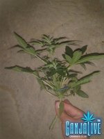 2014-06-08 00.13.59.jpg