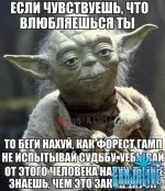 T6YLnzs9bKM.jpg