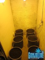 IMG_0908.JPG