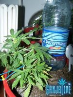 100_2324.JPG
