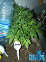 100_2325.JPG