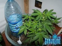 100_2327.JPG