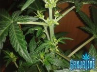 2014-06-08 00.08.01.jpg