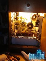 2014-06-08 19.13.02.jpg