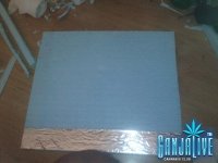 2014-06-08 18.51.19.jpg