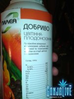 2014-06-08 22.34.06.jpg