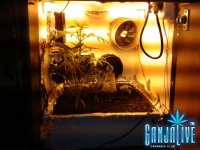 2014-06-08 22.39.24.jpg