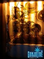 2014-06-09 19.39.57.jpg