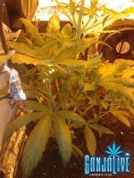 2014-06-09 19.40.11.jpg