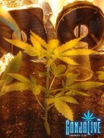 2014-06-09 19.42.12.jpg