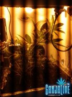 2014-06-10 21.05.53.jpg