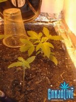 2014-06-10 21.06.14.jpg