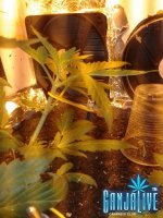 2014-06-10 21.06.18.jpg