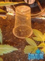 2014-06-10 21.06.23.jpg