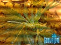 2014-06-11 21.38.35.jpg