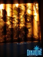 2014-06-11 21.39.04.jpg