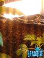 2014-06-12 02.09.23.jpg