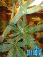 2014-06-12 22.03.53.jpg