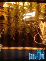 2014-06-12 22.04.04.jpg