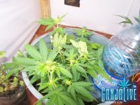 100_2336.JPG