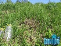 IMG_0197.JPG