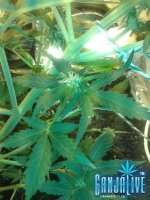 2014-06-15 21.34.35.jpg