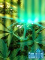 2014-06-15 21.34.45.jpg