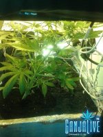 2014-06-15 21.34.52.jpg